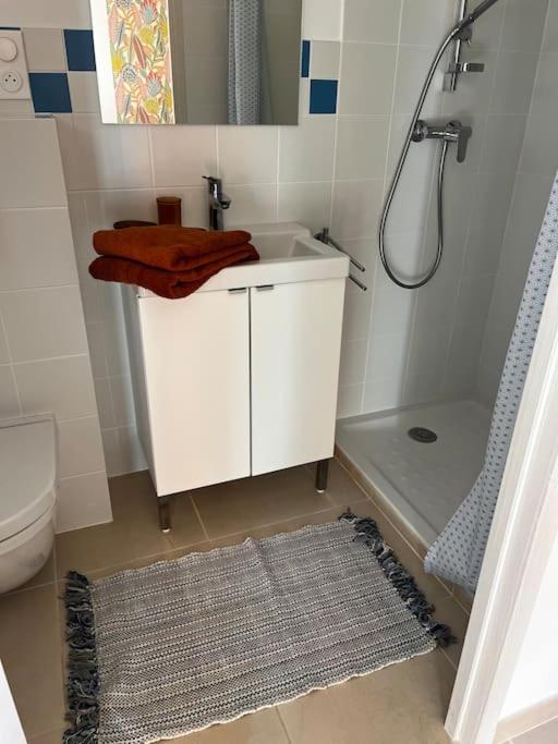 La Rosa Holiday home Bedoin
